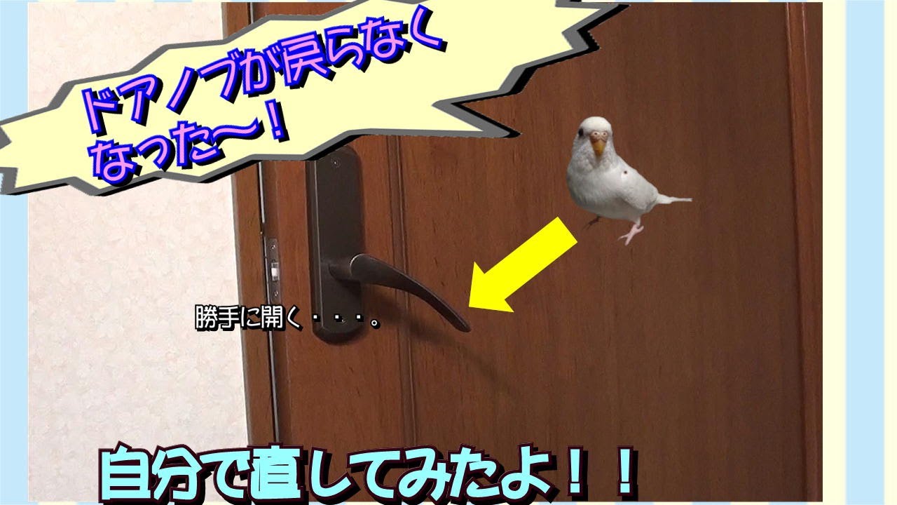 ドアのラッチを交換してみた