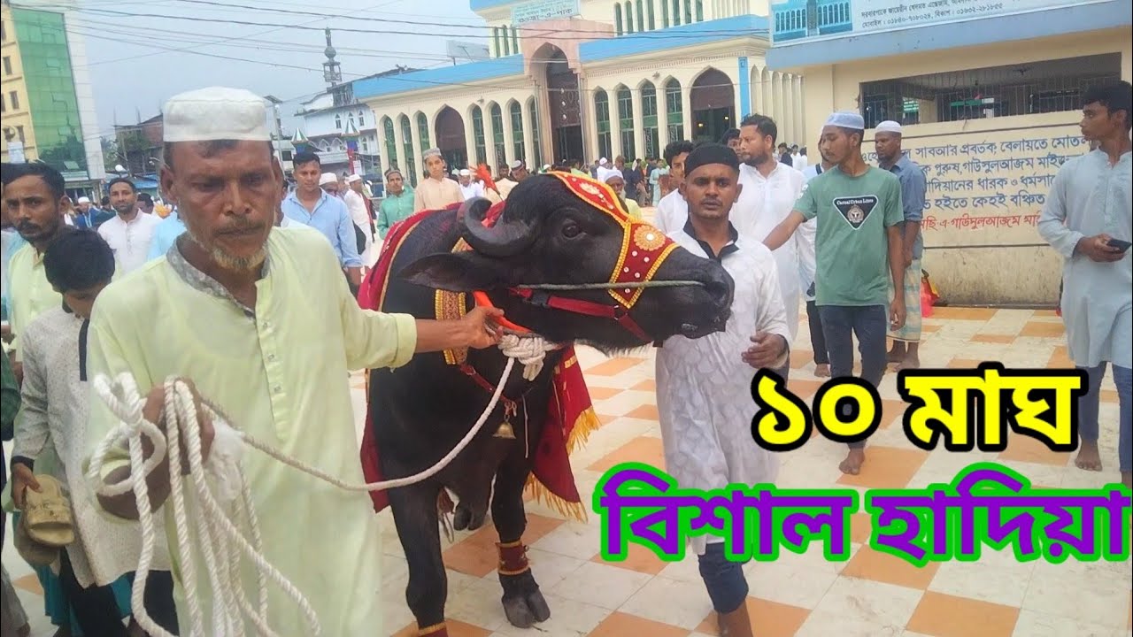 ১০ মাঘ ওরশ শরীফ 2025 | এর বিশাল বিশাল হাদিয়া | maizbhandar sharif |