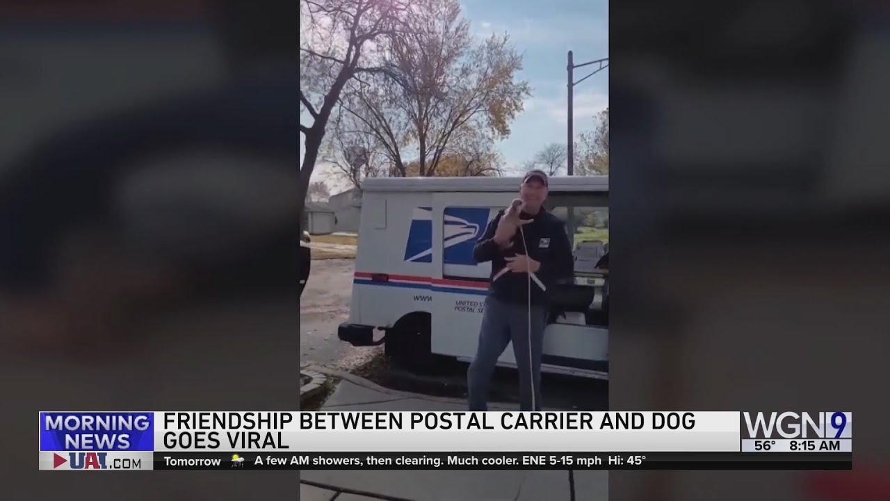 Friendship Between Dog & Suburban Postal Carrier Goes Viral | Good News Chicago