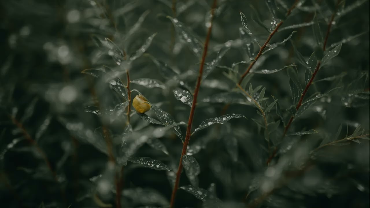 Soft Breathing Waves 🌫️ | Minimal Ambient Piano, Pads & Distant Bells (All-Day Calm)