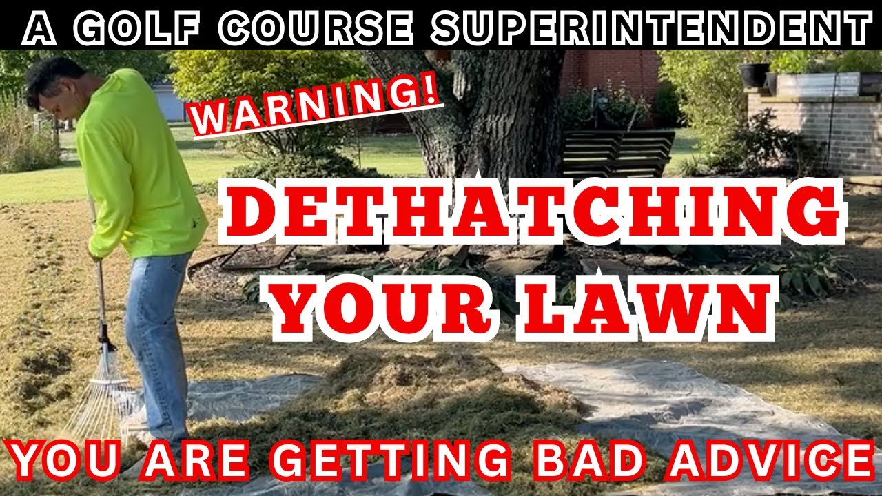 Lawn Care Myths That Waste Your Time & Money