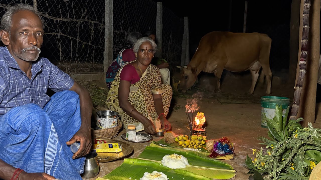 நம்ம வீட்டு மாட்டு பொங்கல்|grand tamil traditional festival|Mattu Pongal|Idhu Namma Route.#tamil 