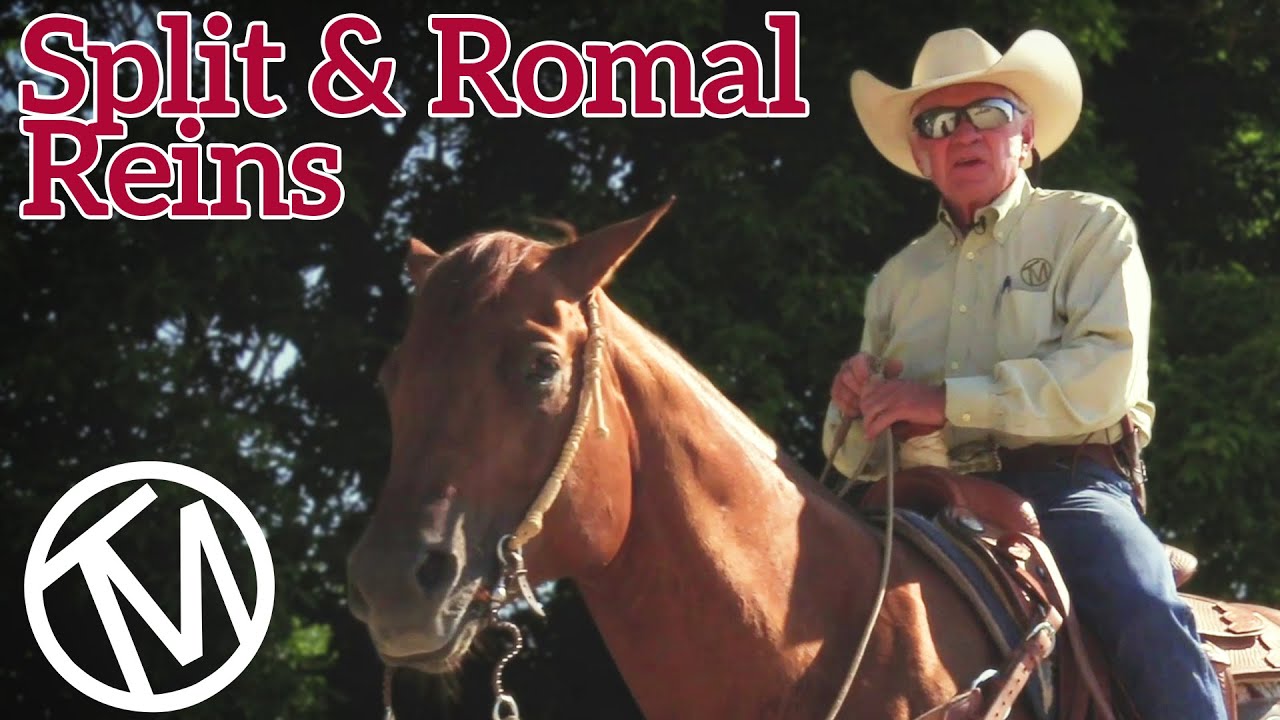 Terry Myers - Split and Romal Reins