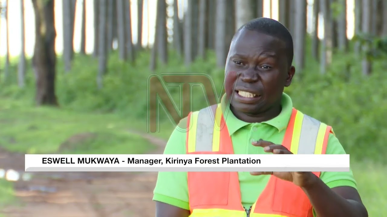 Challenges in cultivating private and government-owned forests