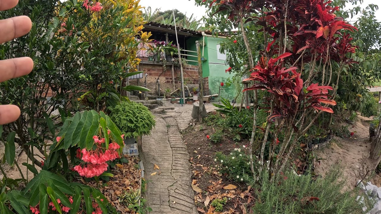 BELÍSSIMO CHEIO DE ENCANTO E MUITA NATUREZA SÍTIO VERTENTES