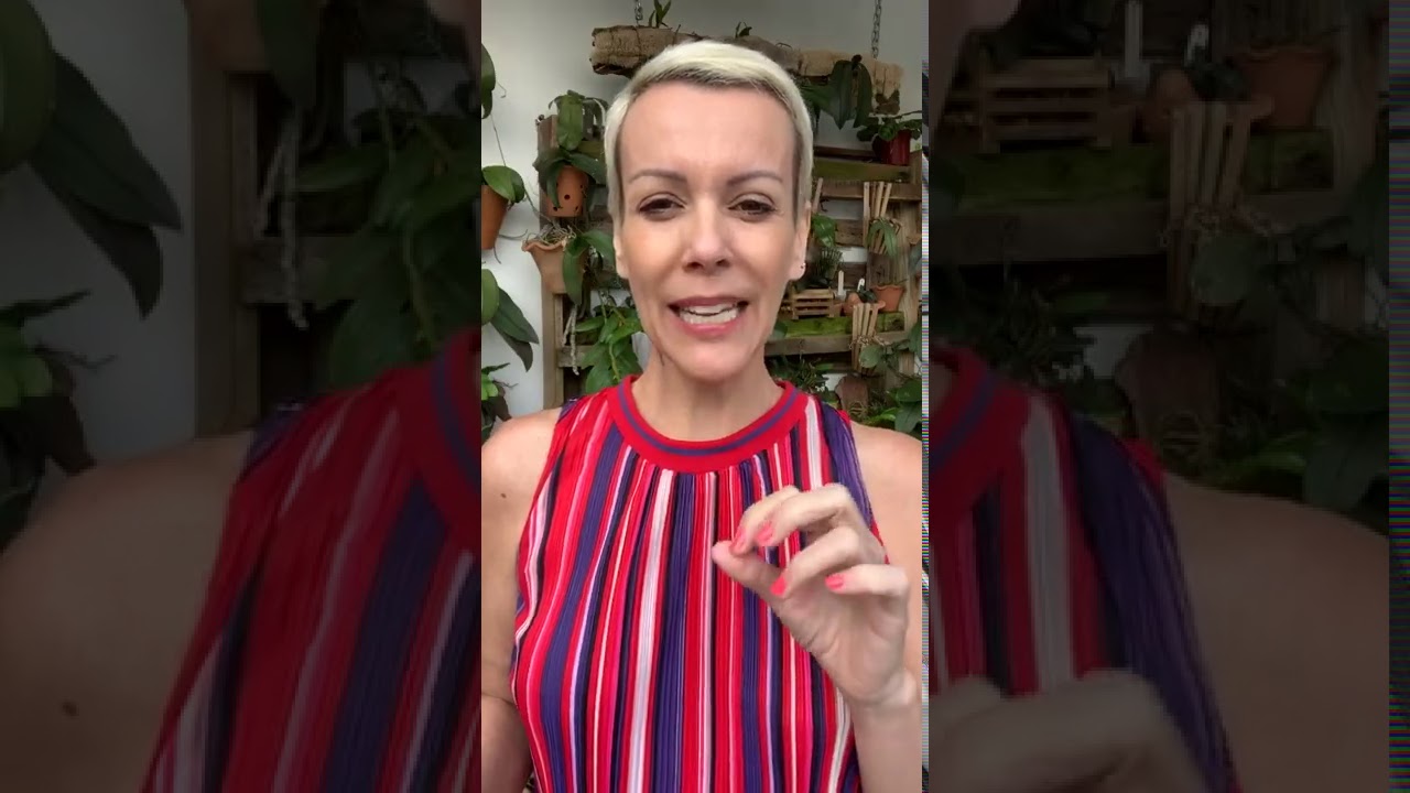 O CALOR CHEGOU! DICAS QUENTES DE CULTIVO DE ORQUÍDEAS