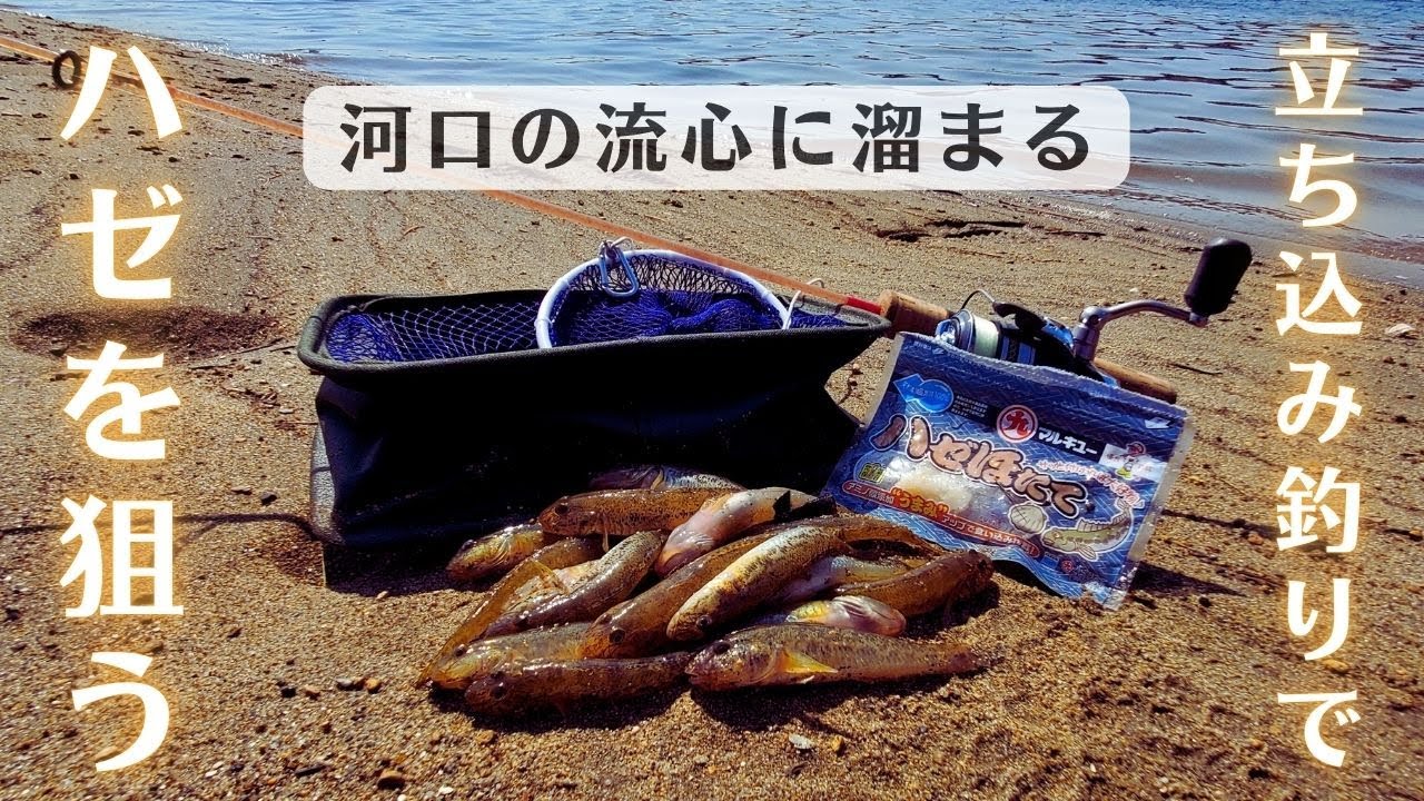 【ハゼ釣り】立ち込み釣りで川の流心に溜まるハゼを狙う