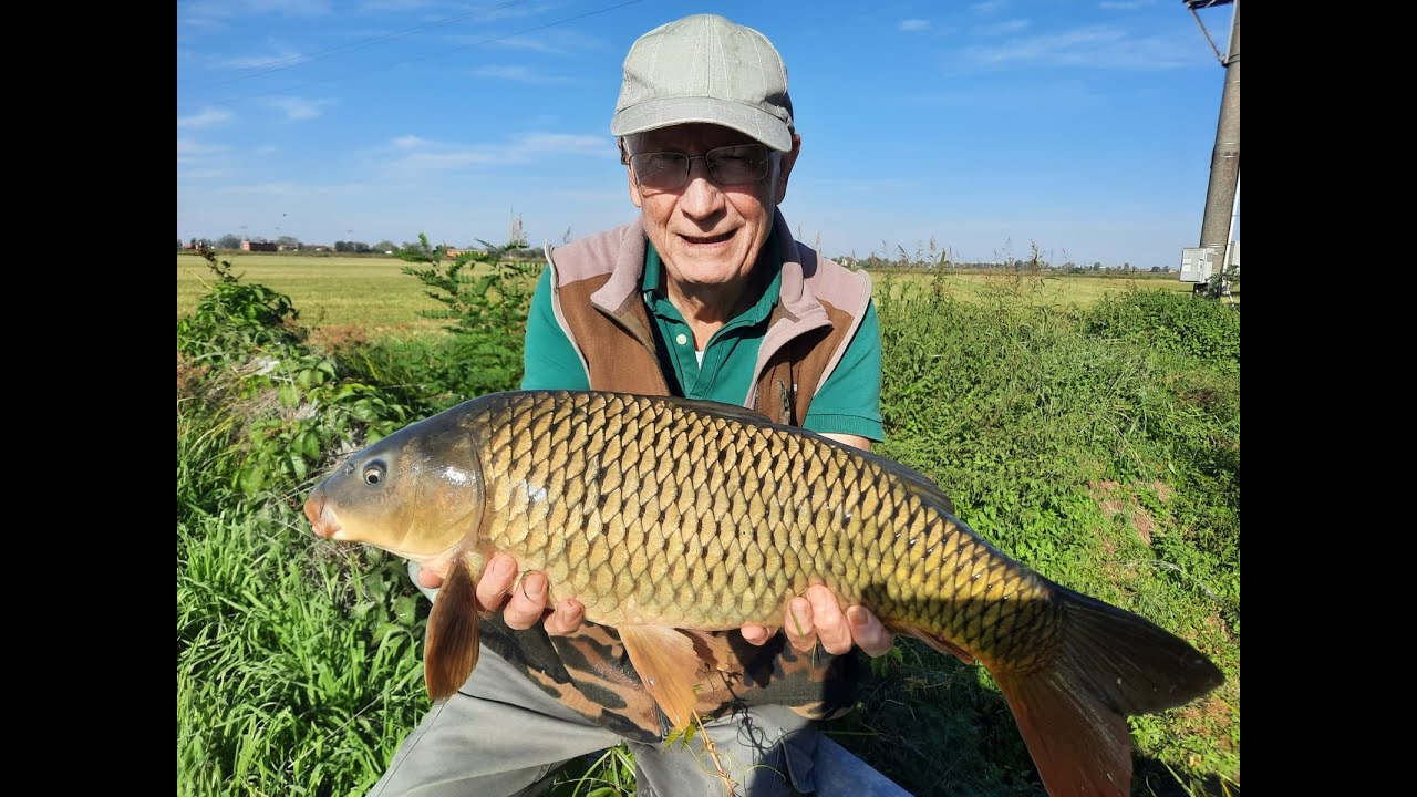 PESCA ALLA CARPA CON IL PANE.