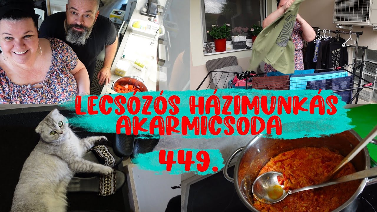 Lecsózós, házimunkás akármicsoda 449.rész