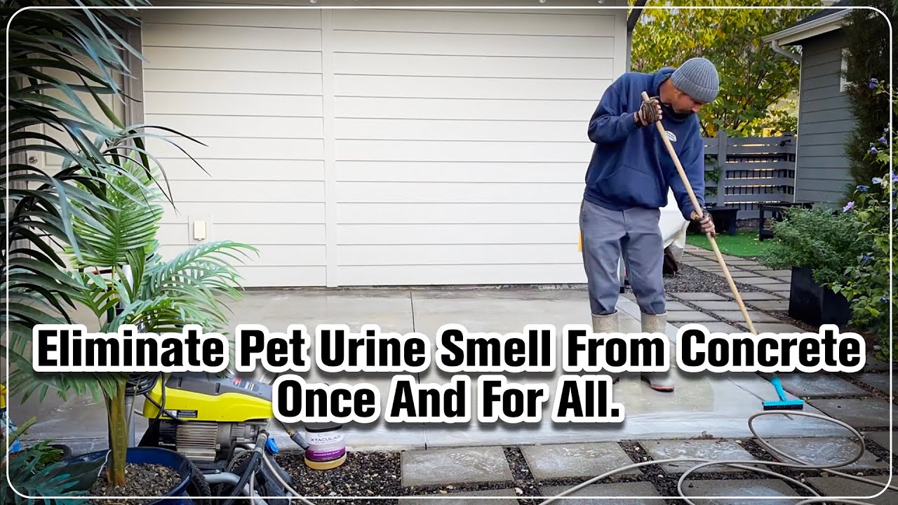 How To Remove Pet Urine Smell From Concrete