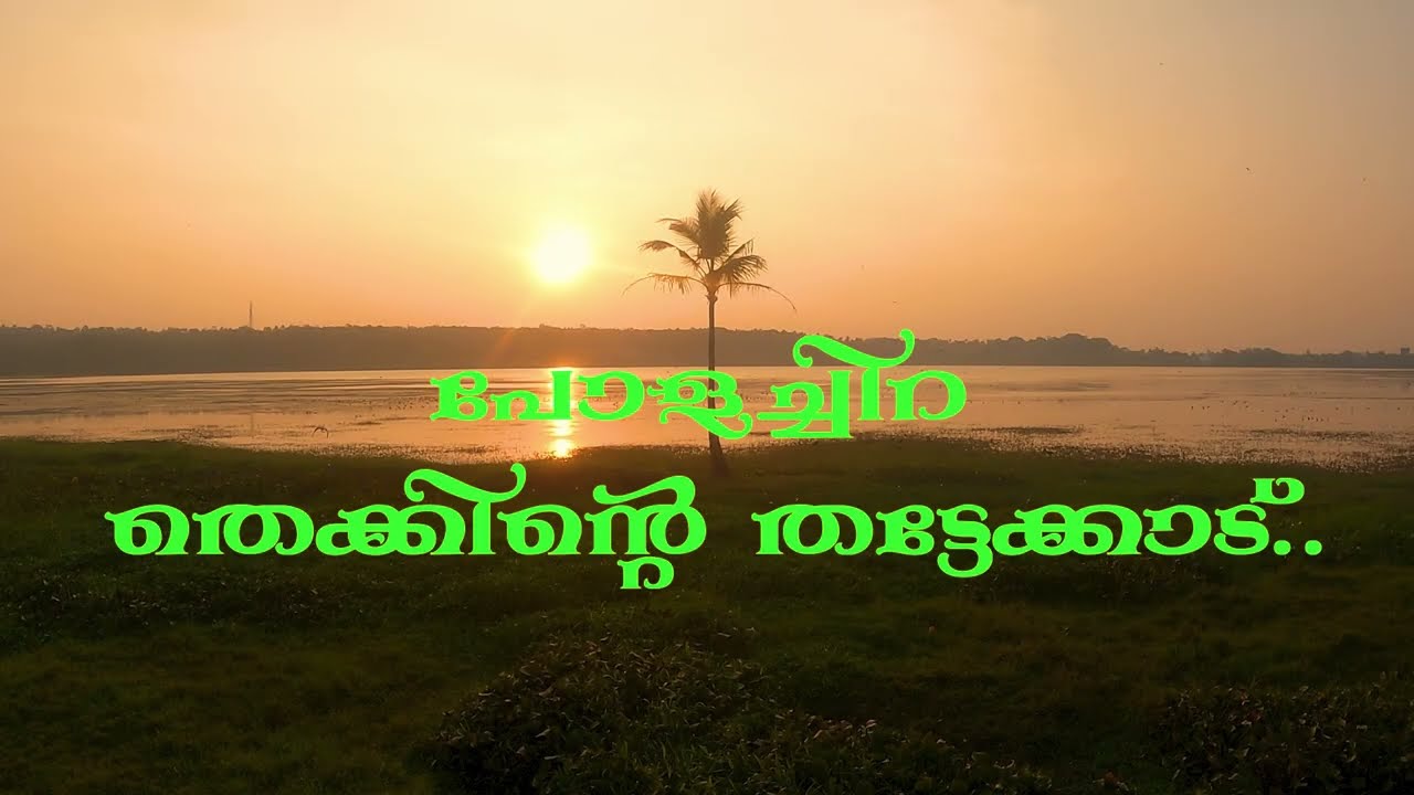 പോളച്ചിറ...തെക്കിന്റെ തട്ടേക്കാട്     POLACHIRA WETLAND AND BIRD SANCTUARY