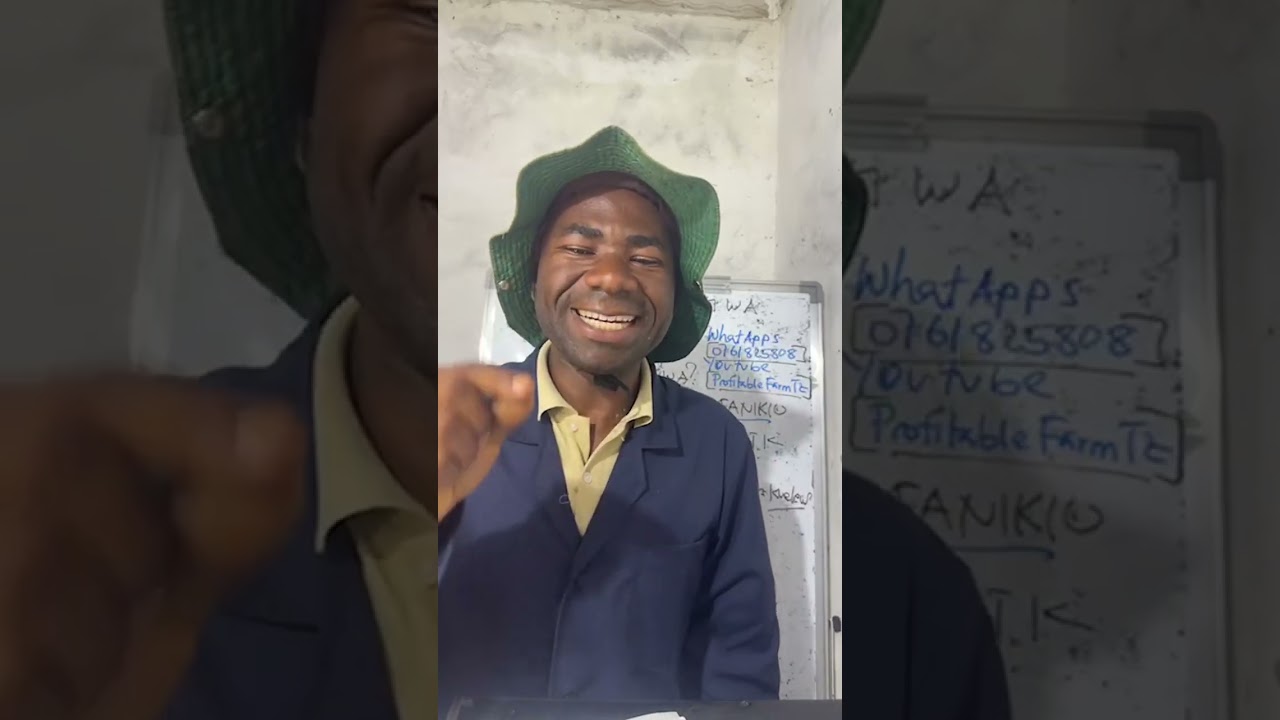 Part III:Jitambue Upo Katika Kundi Gani La Mradi Wa Kuku?...