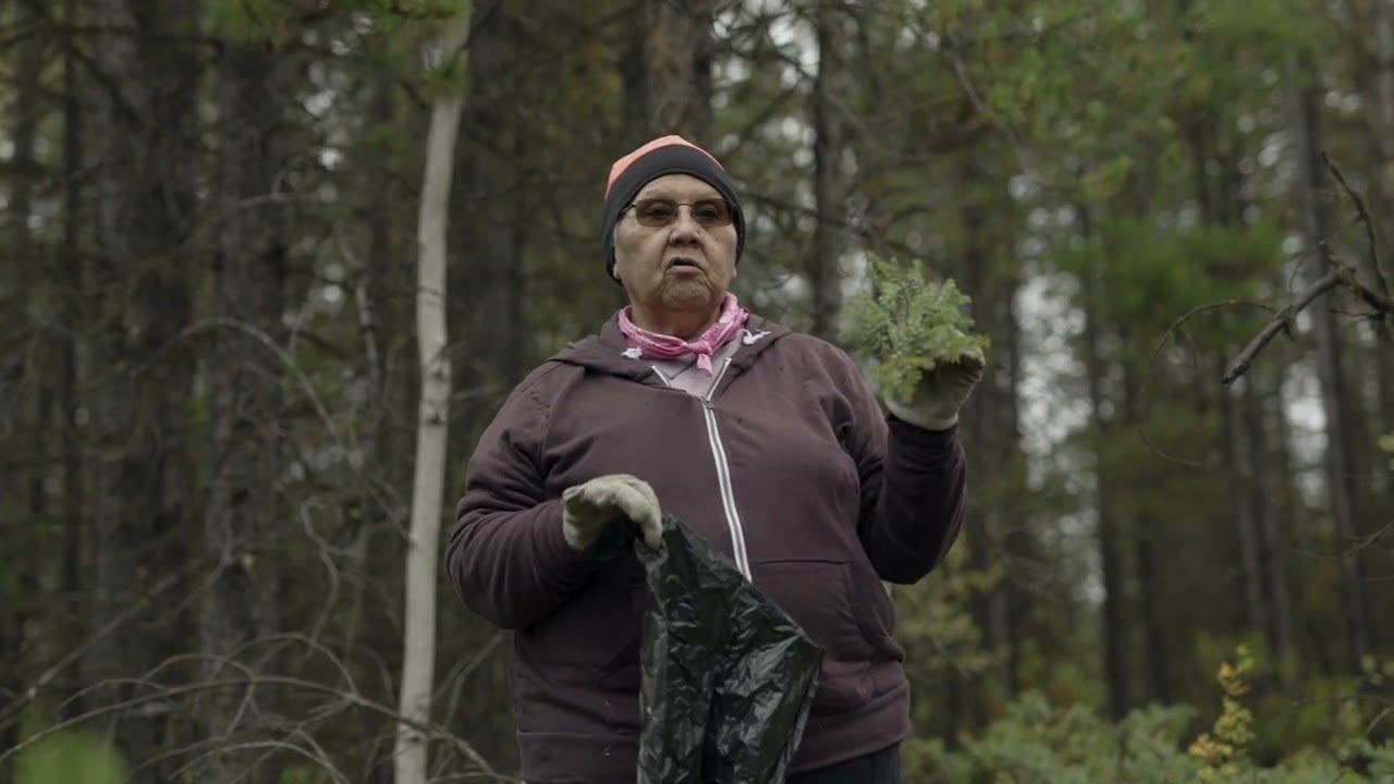 Lesson - Plant Walk - Lhtako Dene Nation