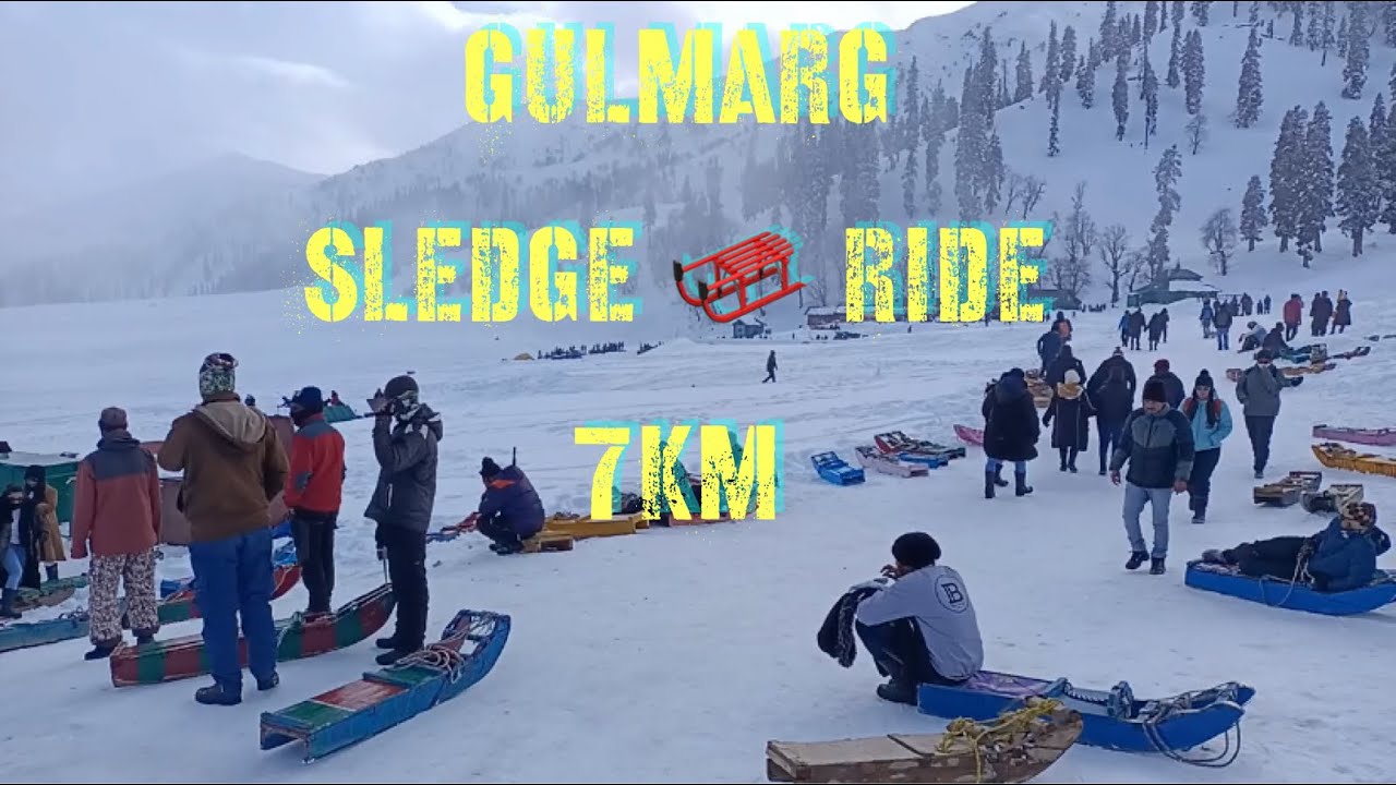 Sledge Ride in Gulmarg 7km | Jungle | Chat with Shepherd