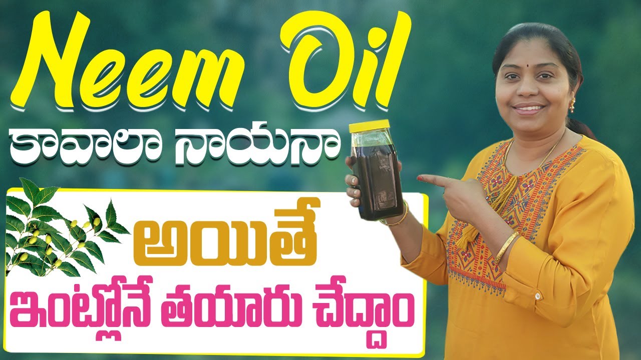 Neem Oil ఇంటిలోనే ఎంతో తేలికగా చేసేద్దాం | How To Make Neem Oil At Home | The Telugu Housewife