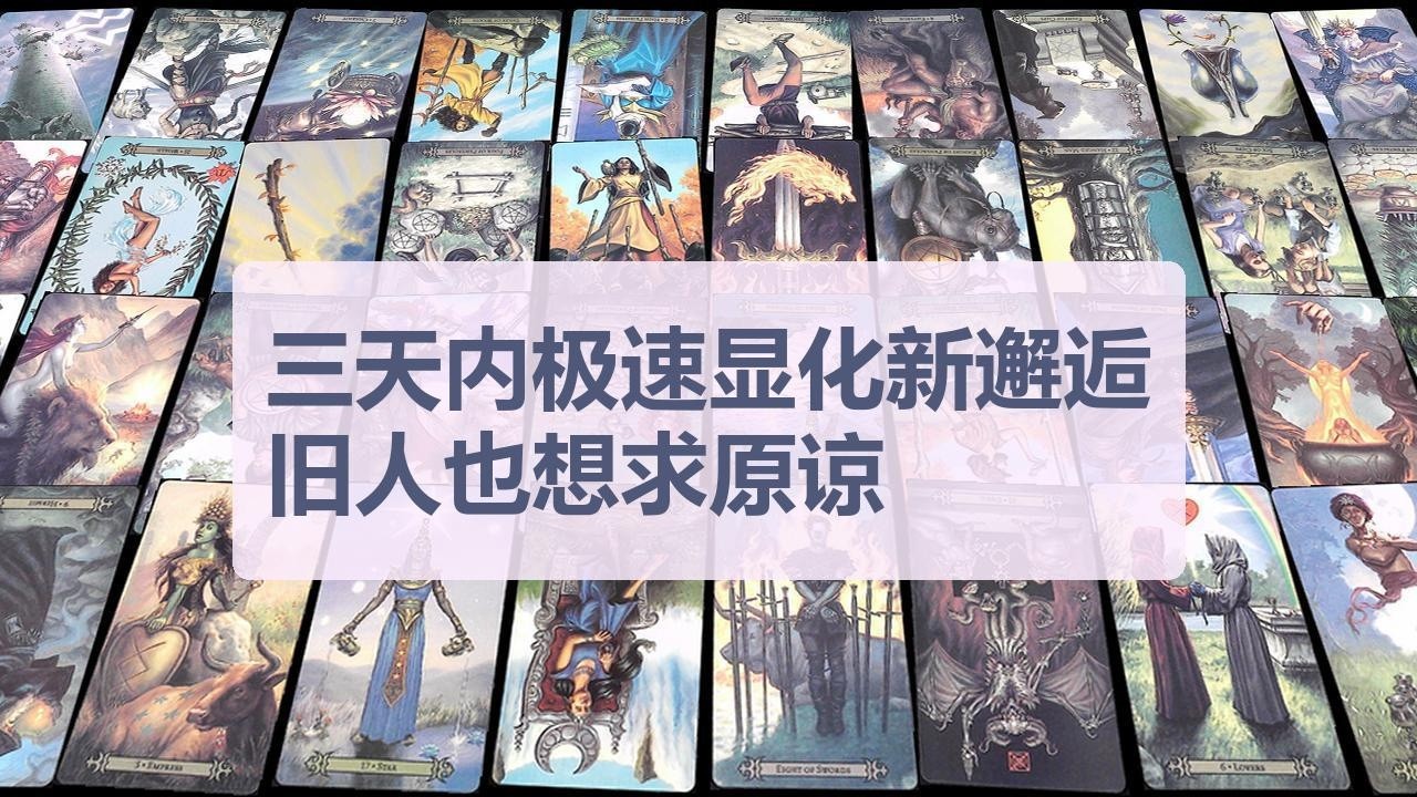 Tarot✨三天内极速显化新邂逅，旧人也想求原谅
