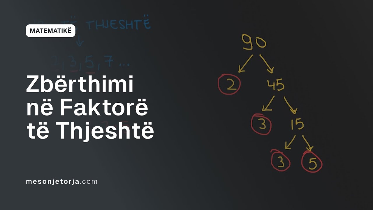 Zbërthimi në Faktorë të Thjeshtë | Faktorizimi i Thjeshtë | Faktorët dhe Shumëfishat | Para-Algjebër