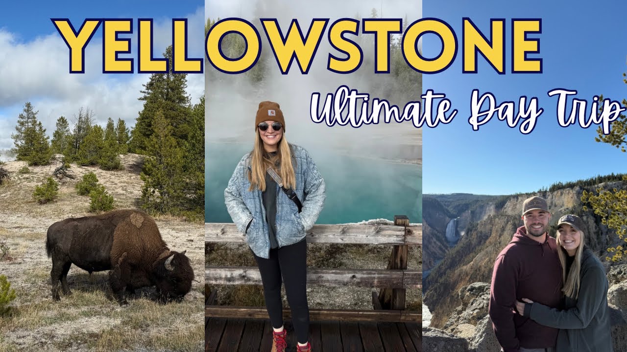 Yellowstone in One Day | Old Faithful, Grand Prismatic & INSANE Wildlife (Bear + Bison)