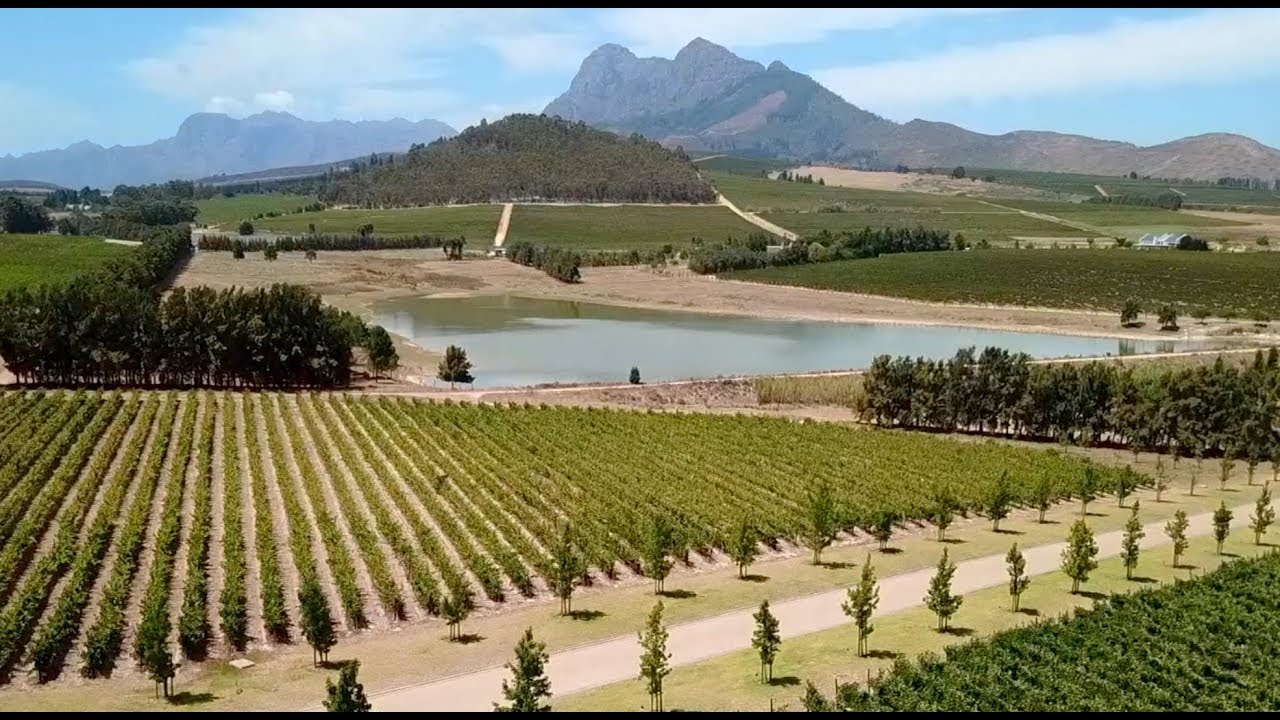 Anura Vineyards - HOW WE MAKE WINNERS!