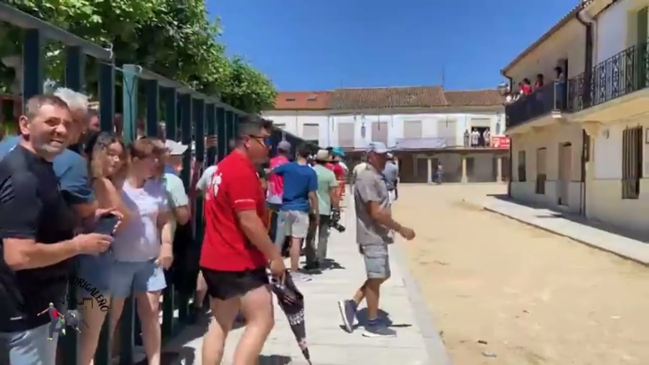 Fuentesauco encierro por las calles 7/7/24