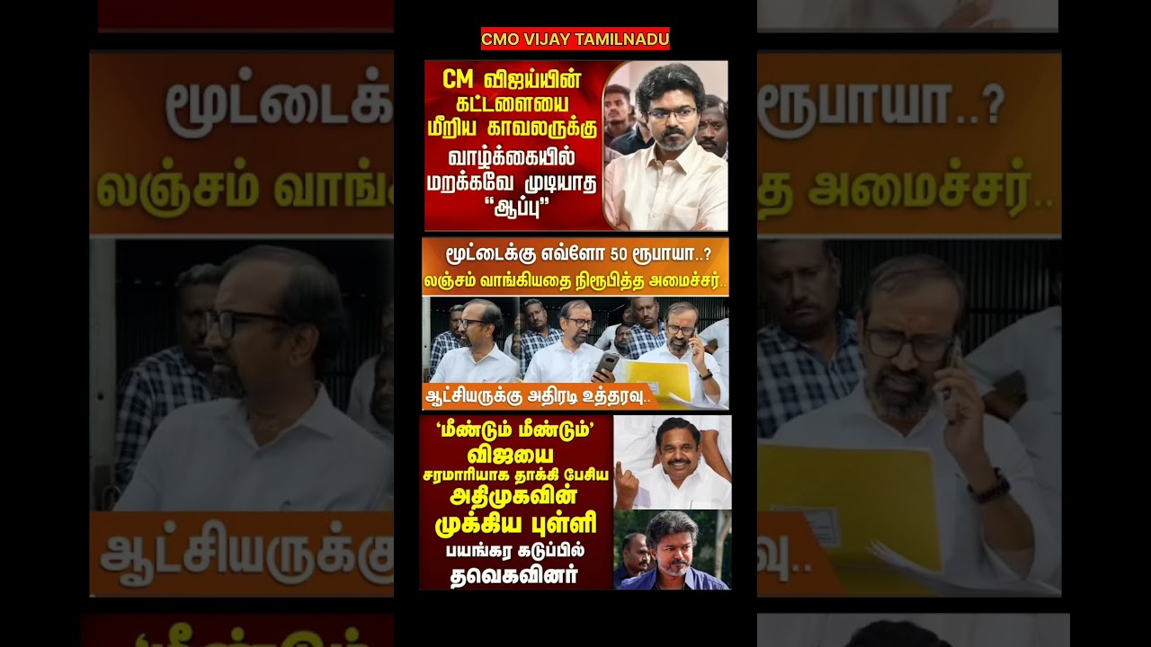 TVK Thalapathy VijayAnna || #tvk#cmotamilnadu #tamil#breakingnews#thalapathy#vijay#news