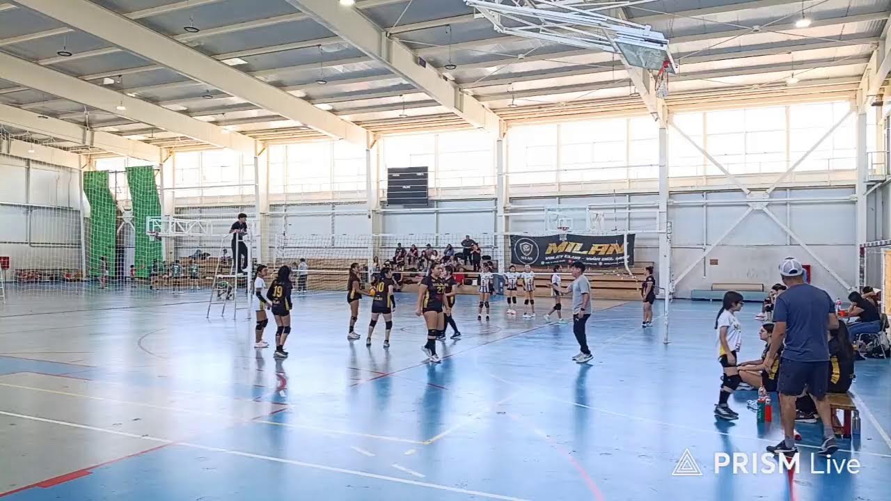 prueba