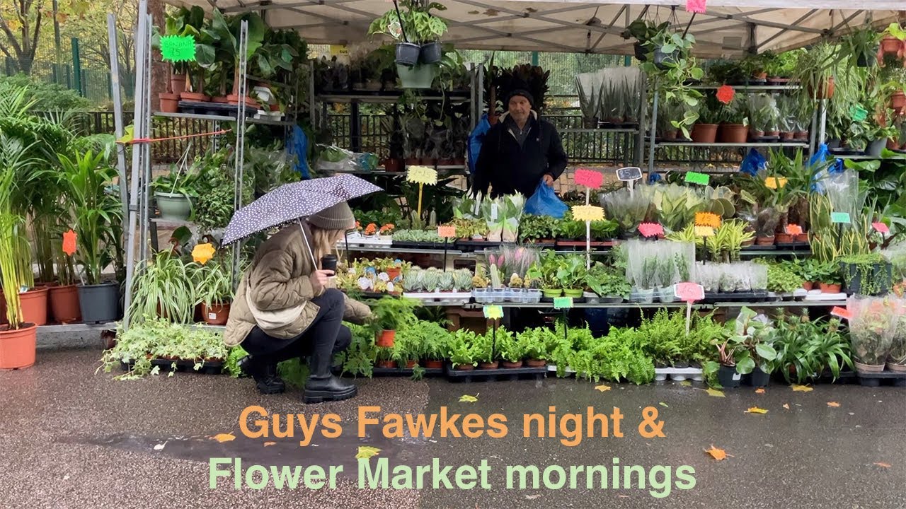 Guy Fawkes night & Flower Market mornings