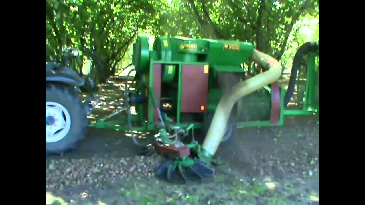 Raccoglitrice trainata con raccoglitore laterale -- Trailed harvester with lateral harvester FACMA