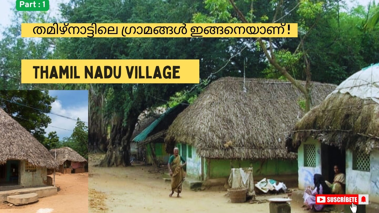 Tamil Nadu village | village | village views | scenes of the Village |തമിഴ്നാട്ടിലെ ഗ്രാമങ്ങൾ |