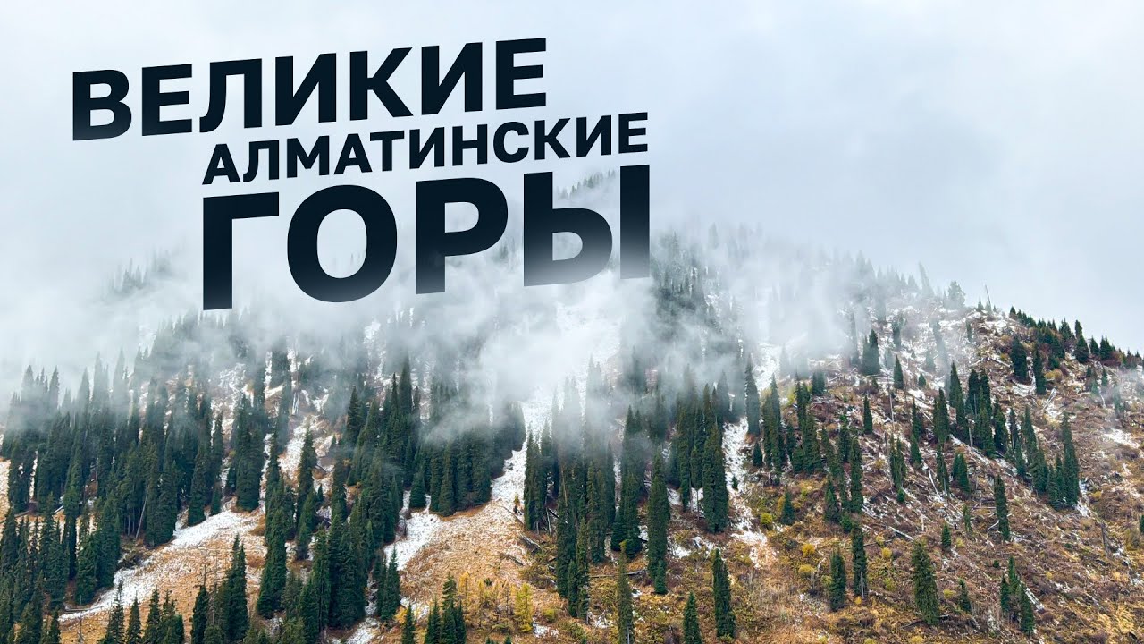 Сокровище Алматы. Как и с кем ходить в горы #kazakhstan #almaty #ski #mountains