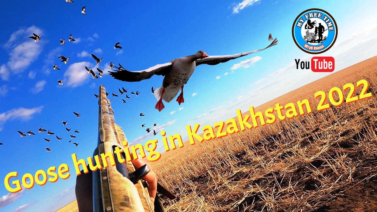 Лучшие моменты!  Охота на гуся в Казахстане 2022! 4K