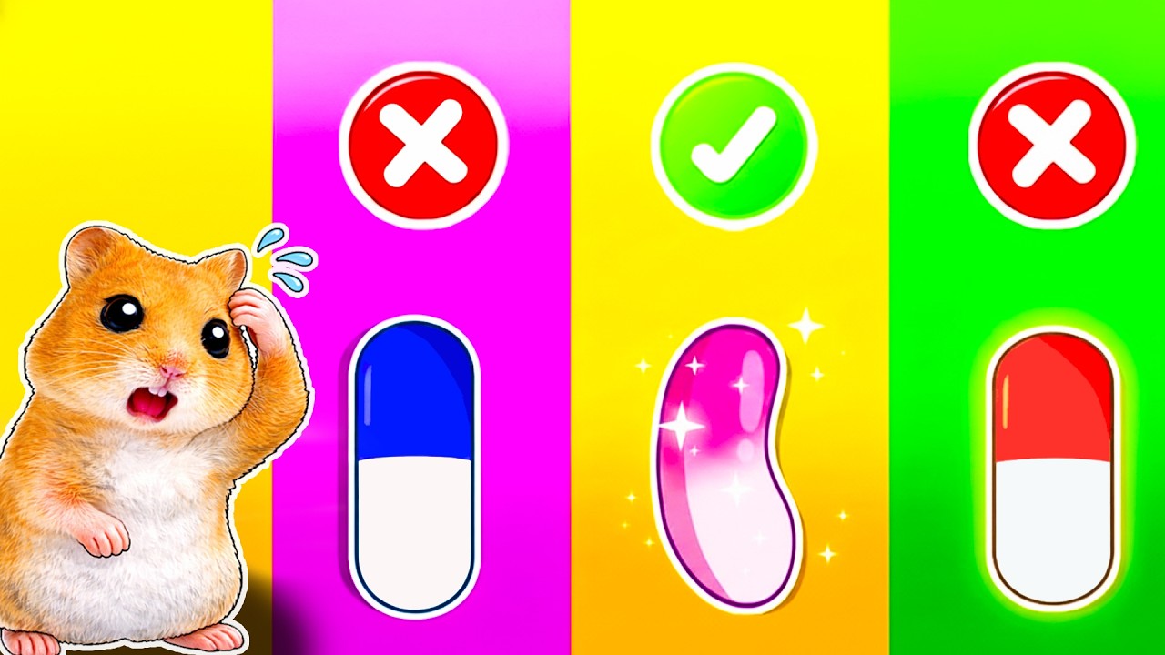Baby Boss Runs Away From Home?! What Happened? | SAD Stories | Mini Hamster Land 🐹💔