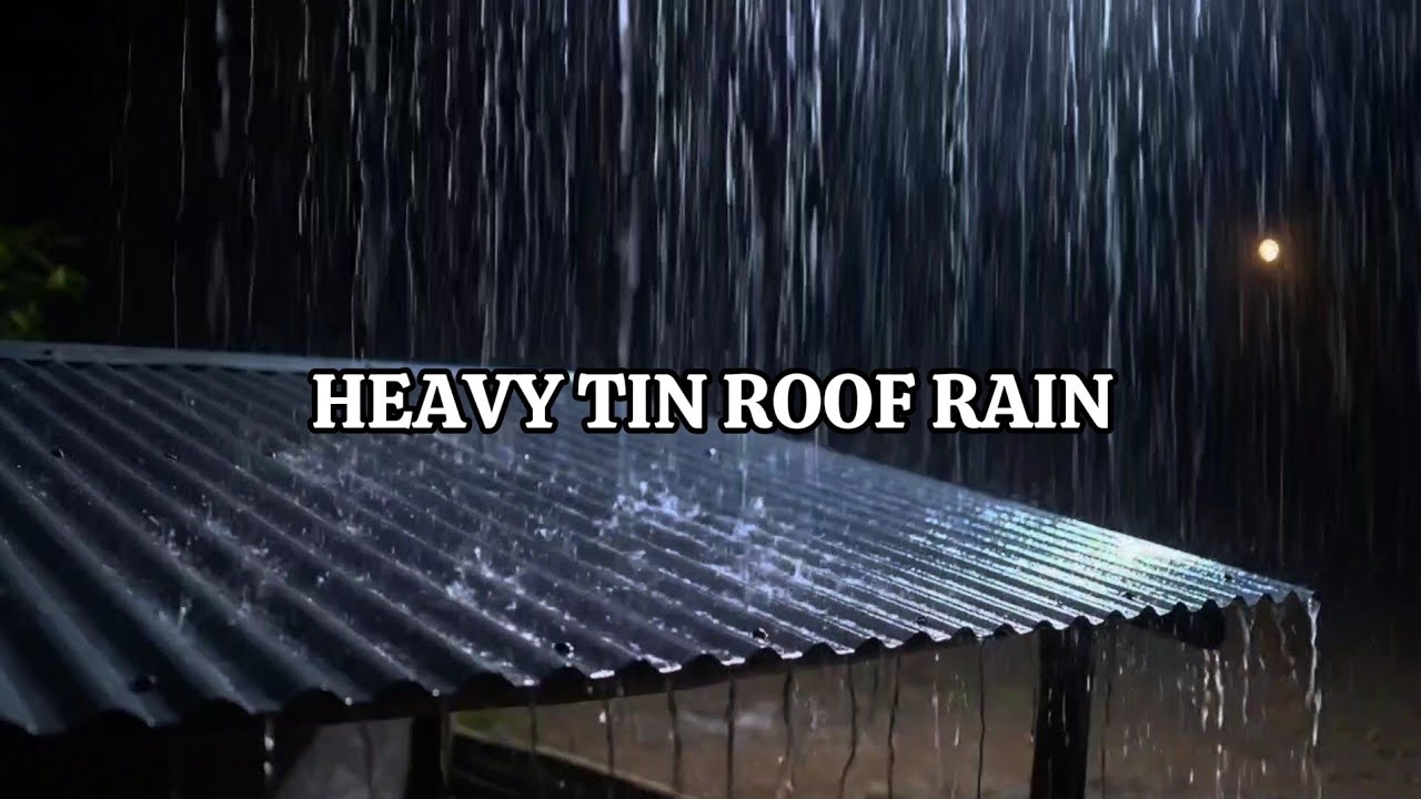 Heavy Rain on Tin Roof Shelter at Night 🌧️ Real Rain ASMR for Deep Sleep & Relaxation