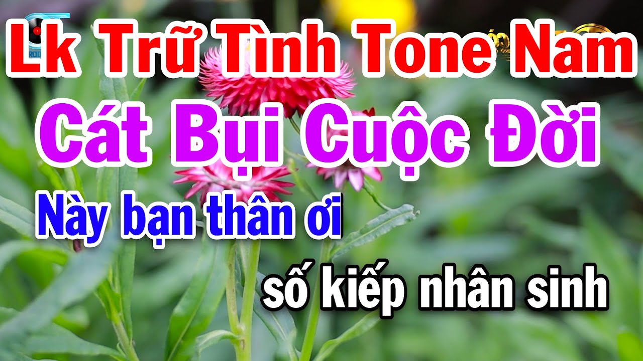 Karaoke Liên Khúc Nhạc Trữ Tình Tone Nam Dễ Hát | Cát Bụi Cuộc Đời | Gõ Cửa Trái Tim