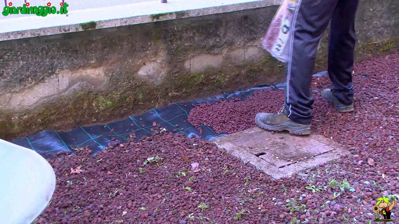 Pacciamatura