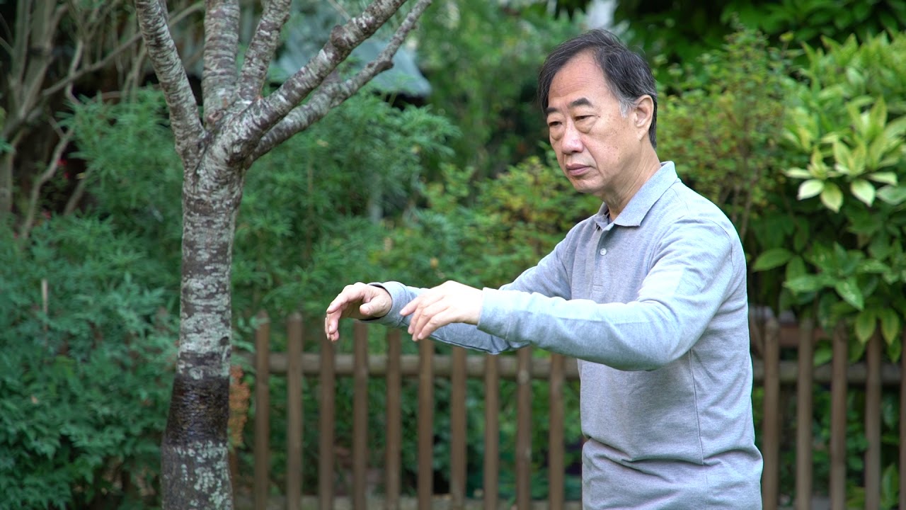 Le “ji-ben-bu-fa” (la marche du tai-ji-qüan)