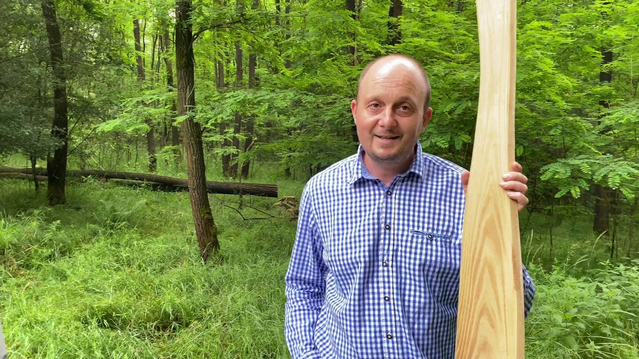 Exkursion zur Online-Tagung Baum des Jahres 2020 