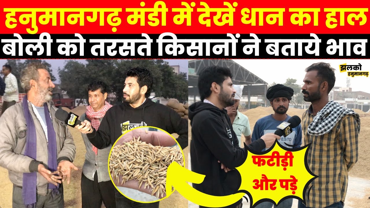 Hanumangarh Mandi में Kisanon ने खोली धान के भाव और सरकार की पोल, देखें गुस्सा
