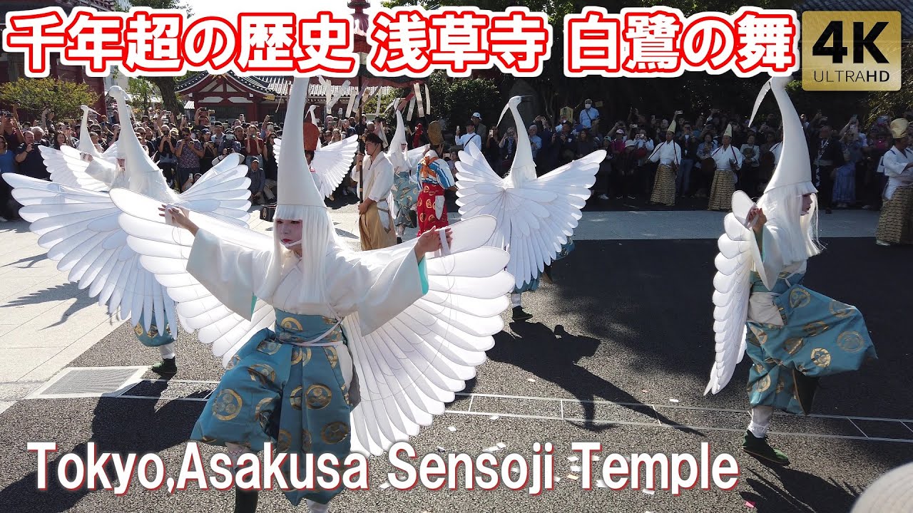連休で超混雑の浅草寺 伝統的奉演に釘付け 白鷺の舞 2024.11 浅草 Tokyo,Asakusa Sensoji Temple Shirasagi-no-Mai/White Heron Dance