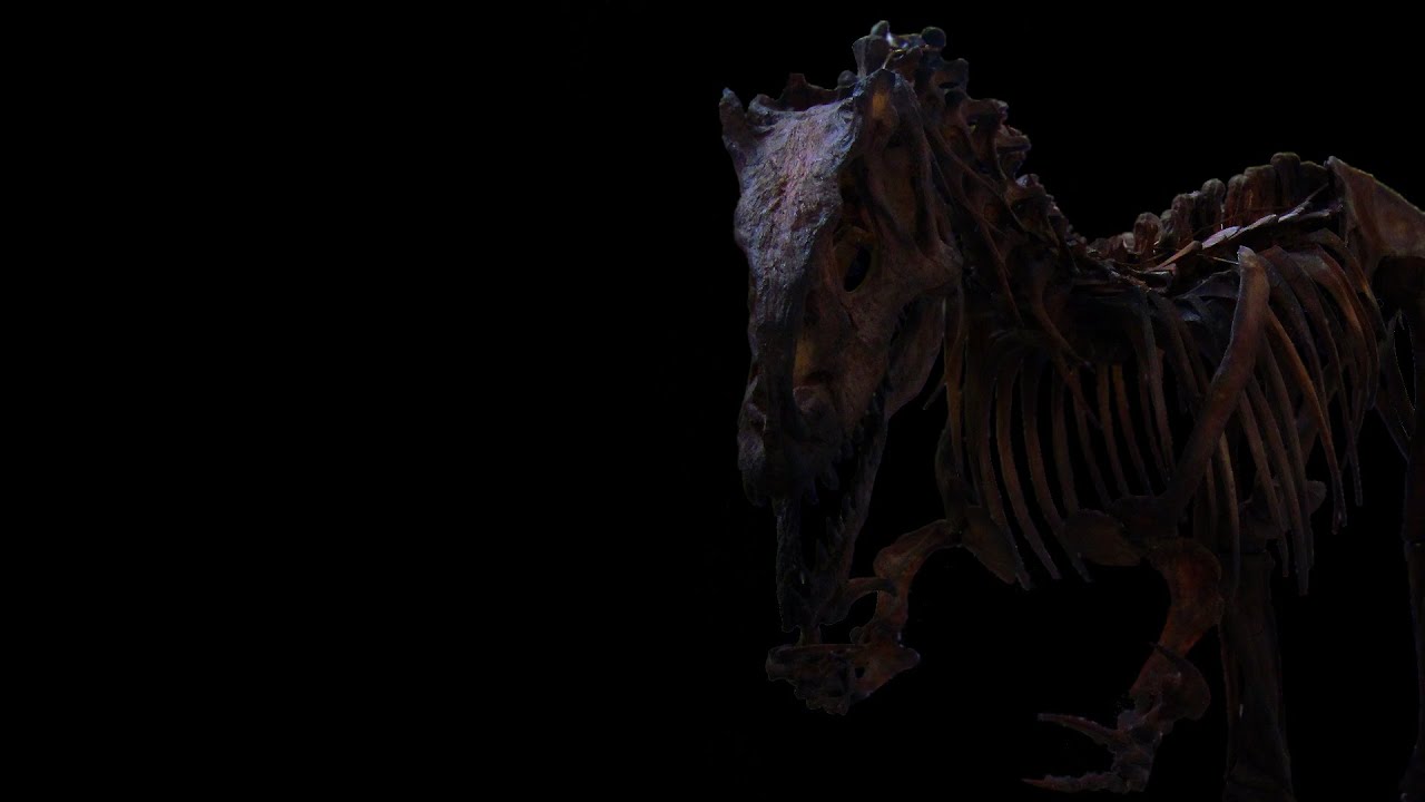 Jurassic Park alla Sapienza