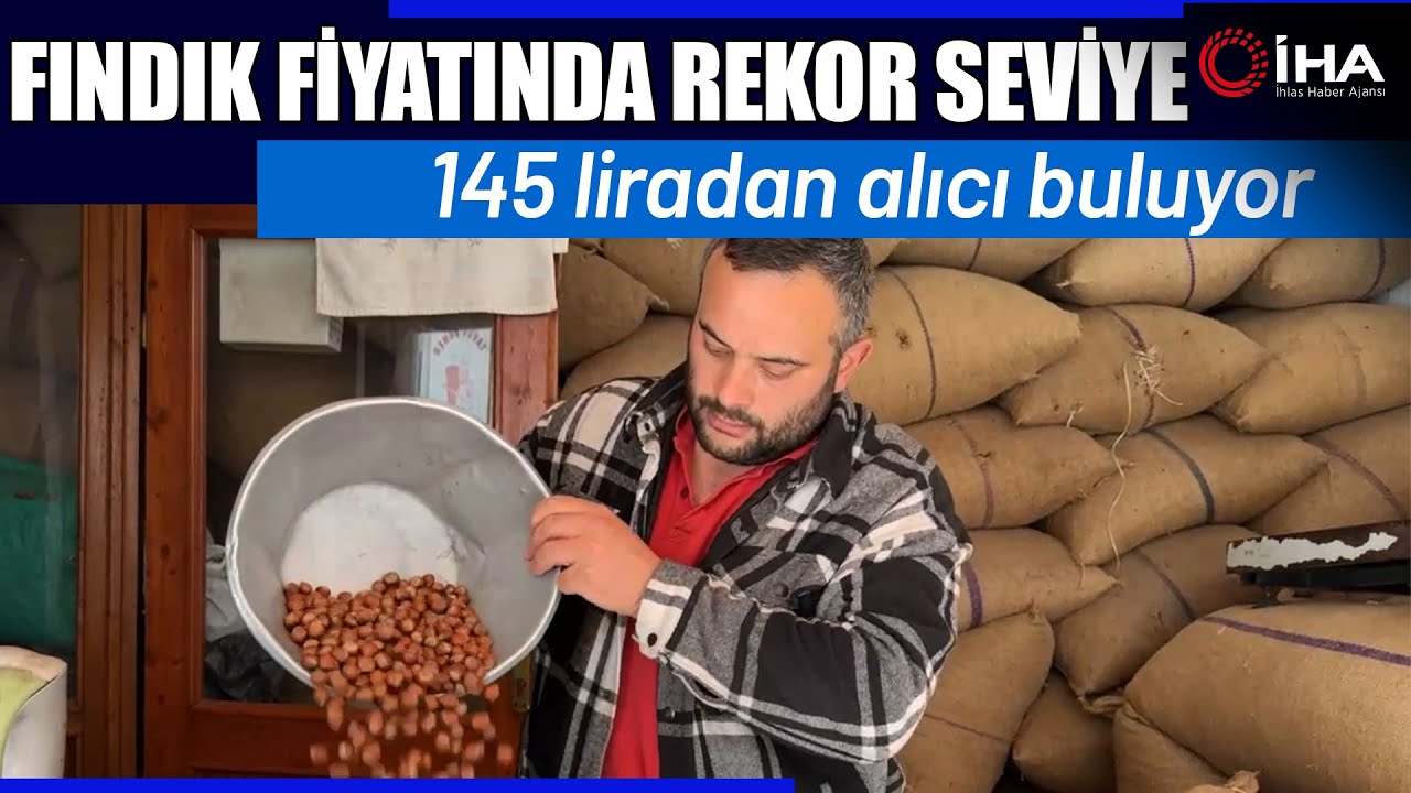 Fındık Cumhuriyet Tarihinin En Yüksek Seviyesine Ulaştı