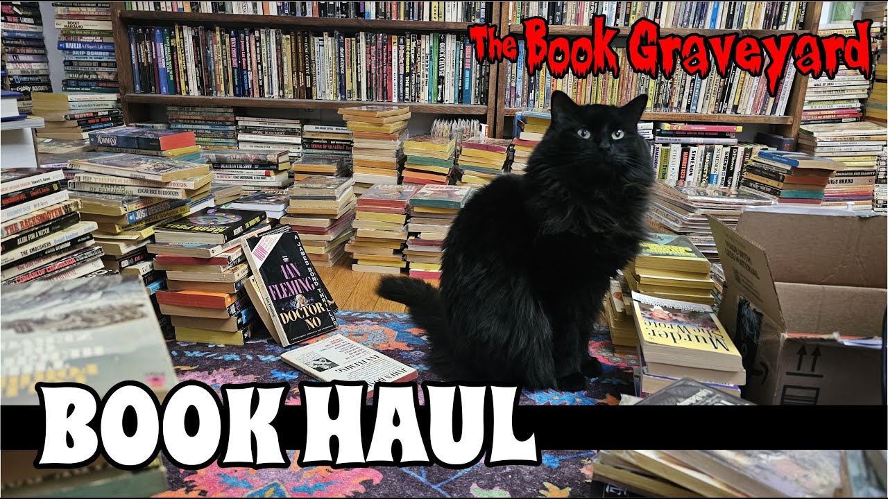 Book Haul- Nov- vintage paperbacks galore!