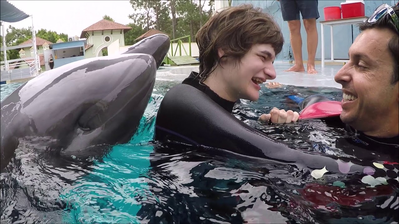 Dolphin Therapy Land  ( Janine )