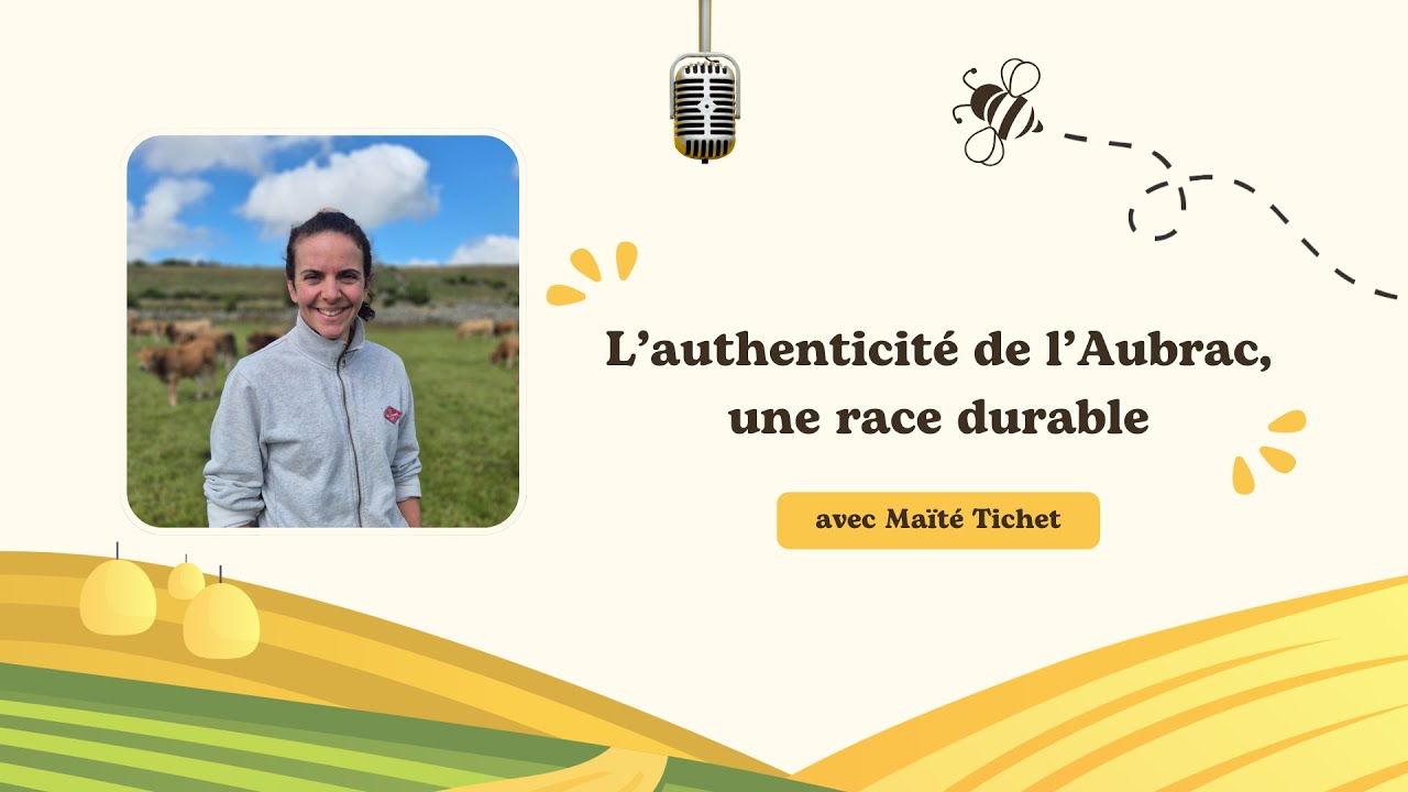 L'authenticité de l'Aubrac, une race durable - Interview de Maïté Tichet