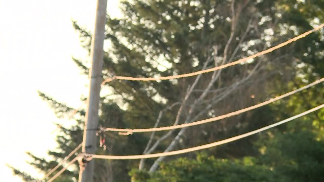 VIDEO NOW: Fire breaks out at Tiverton home
