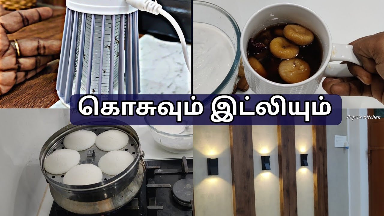 6 Pm to 6 Am Routine - Soft Idly Secret Recipe - Mosquito Killer - Healthy Drink - Vlog In Tamil
