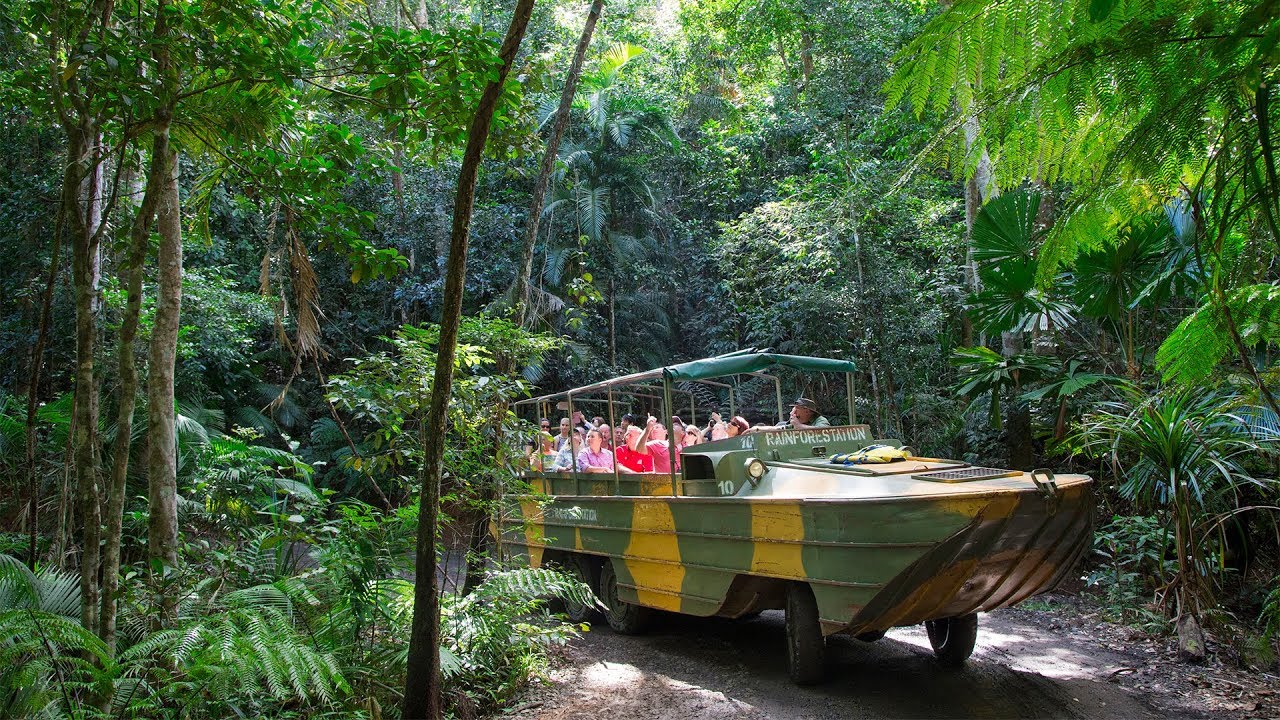 Explore Kuranda Rainforestation Nature Park in Cairns, Australia