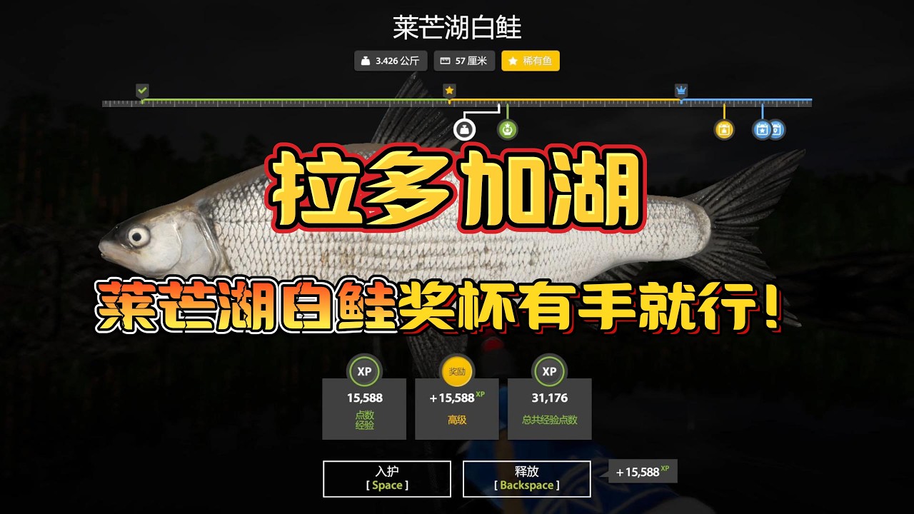 Russian Fishing 4：拉多加湖8小时捕钓，莱芒湖白鲑4条奖杯鱼，沃尔霍夫白鲑大开口！【赛杆捕钓教学教程】