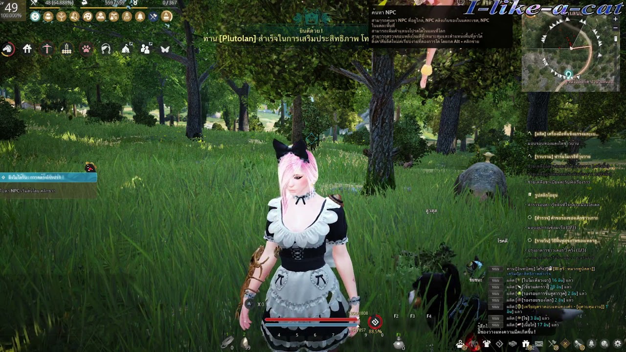 หลังจาก 61แล้ว ขอแนะนำสายไลฟ์สกิล Ep.1 รวบรวม #มือใหม่ #BlackDesert