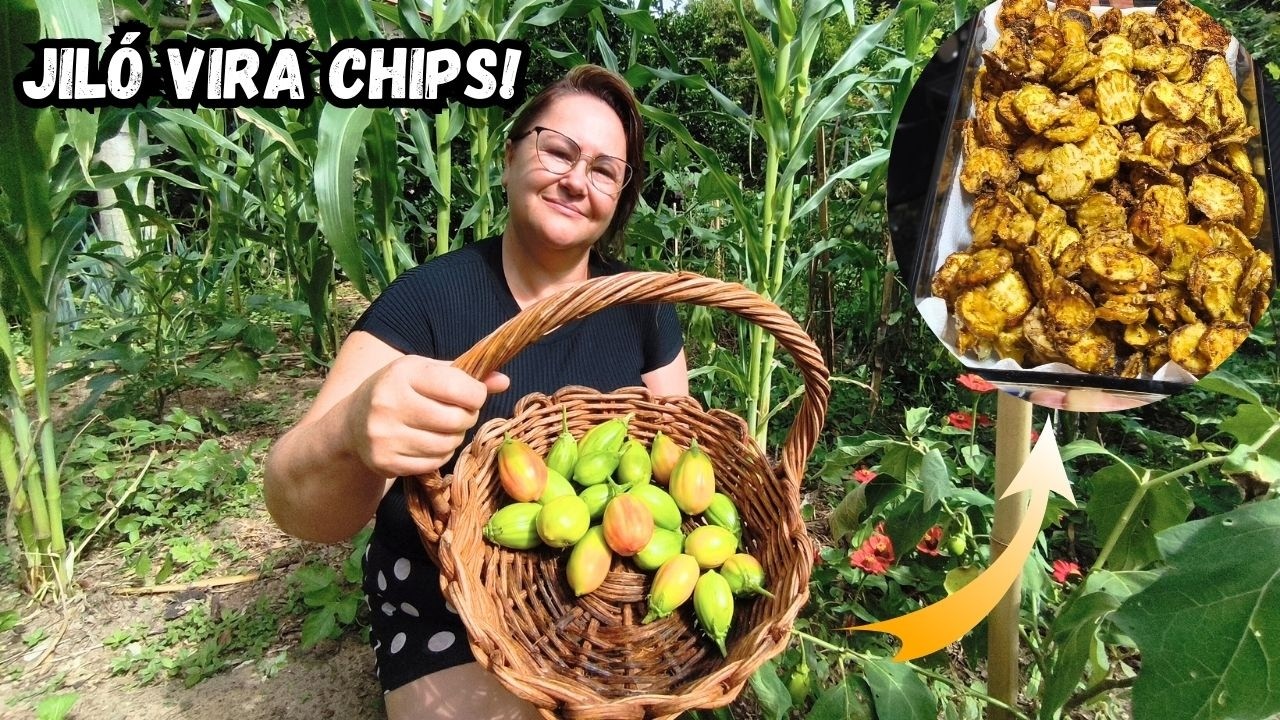 🌿 Colheita de Jiló na Horta Orgânica + Receita Crocante de Chips de Jiló!